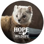 hopeforwildlife profile picture
