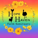 hopehavenfarmsanctuary profile picture