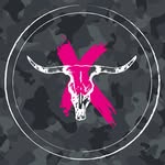 horn_ox profile picture