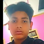 horse.6600275 profile picture
