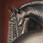 horsepassiondubai profile picture