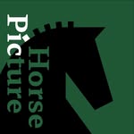 horsepicture_official profile picture