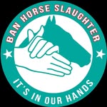 horsesinourhands profile picture