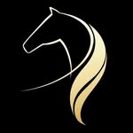 horsesofday4u profile picture