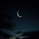 hosna_shirzay profile picture