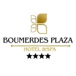 hotelboumerdesplaza profile picture