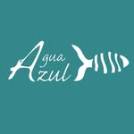 hotelboutiqueaguazul profile picture