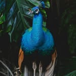 hotellasmananitas profile picture