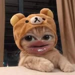 houdako921 profile picture