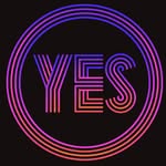 houseofyesnyc profile picture