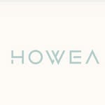 howealifestyle profile picture