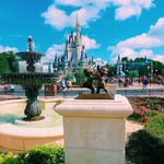 howmanydaystillflorida profile picture