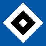 hsv profile picture