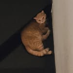 htrn141__ profile picture