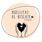 huellitaslinares profile picture