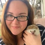 huffyhedgehogs profile picture