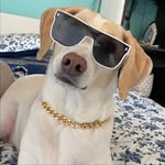 hugo.af_ profile picture