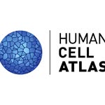 humancellatlas profile picture