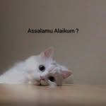 humdard__069 profile picture