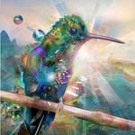 hummingbird.ranch profile picture