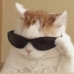 humor.king1 profile picture