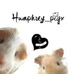 humphrey_pigx profile picture