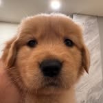 hunkui_theboss profile picture