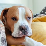 huntercitothepit profile picture