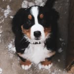 hurricanehadley profile picture
