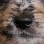 hurricanesamba profile picture