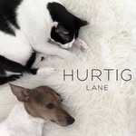 hurtiglane profile picture