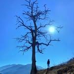 hushiar_singh111 profile picture