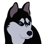 huskies.only profile picture