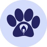 huskython profile picture