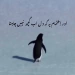 hussain._.811 profile picture