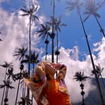 hutravelstheworld profile picture