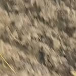 hvideramrohvipvi profile picture