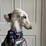 hwiwoong profile picture