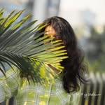 hy_sweetheart_pvt profile picture