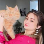 i.bisma__ profile picture