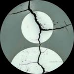i_am_arman_alam profile picture