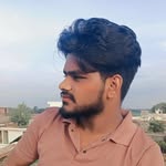 i_am_r_o_n_a_k profile picture