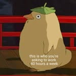 i_am_the_gayest profile picture