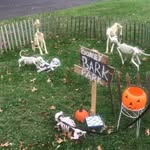i_and_c_love_halloween profile picture