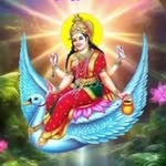 i_miss_you_papa._ji profile picture