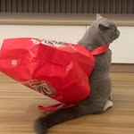 i_pnlam profile picture