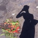 i_say_lav profile picture