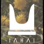 iahai.international profile picture