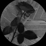 iamafjalur profile picture