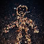 iam_bad__munda profile picture